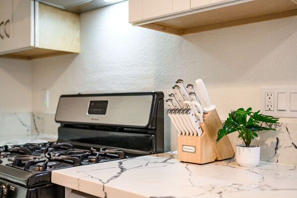 A kitchen with a stove, a knife block, and a potted plant on the counter.
