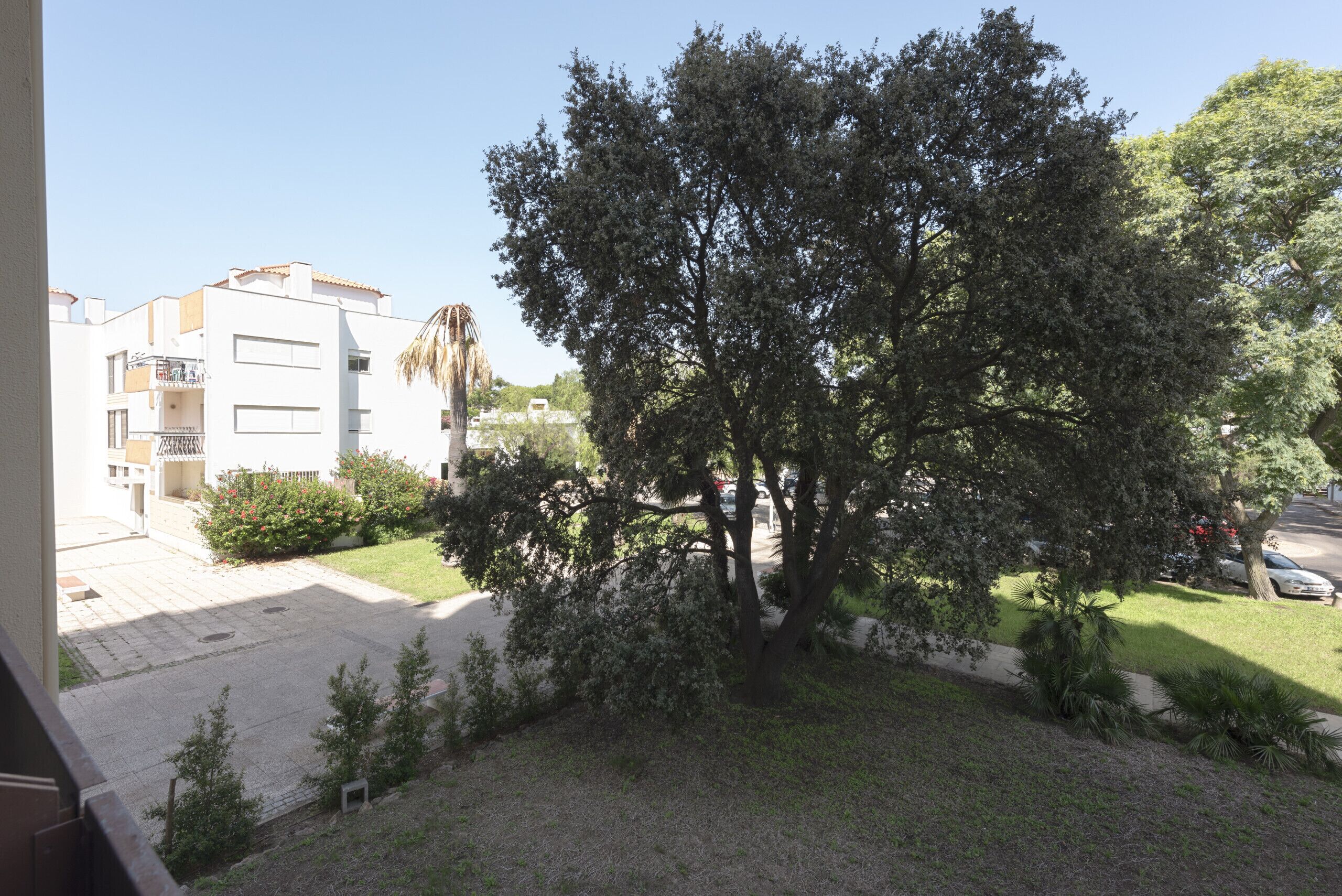 A residential area with a large tree, a paved courtyard, and a white building with balconies.