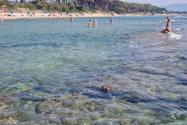 Strand