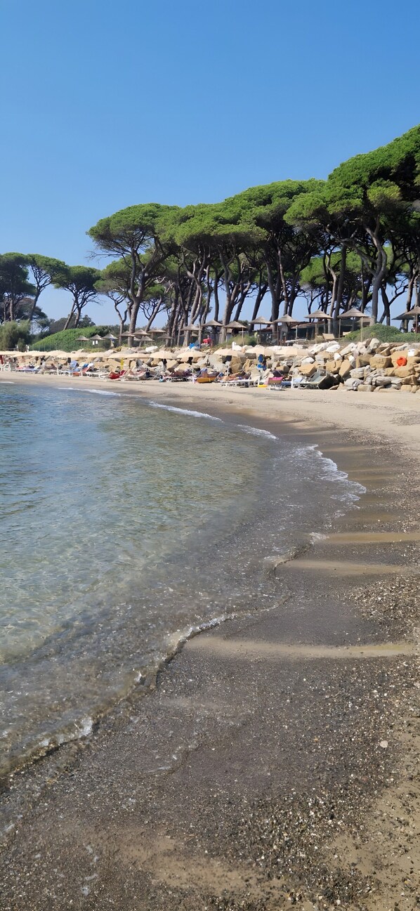 A beach with clear water, a sandy shore, and trees in the background.