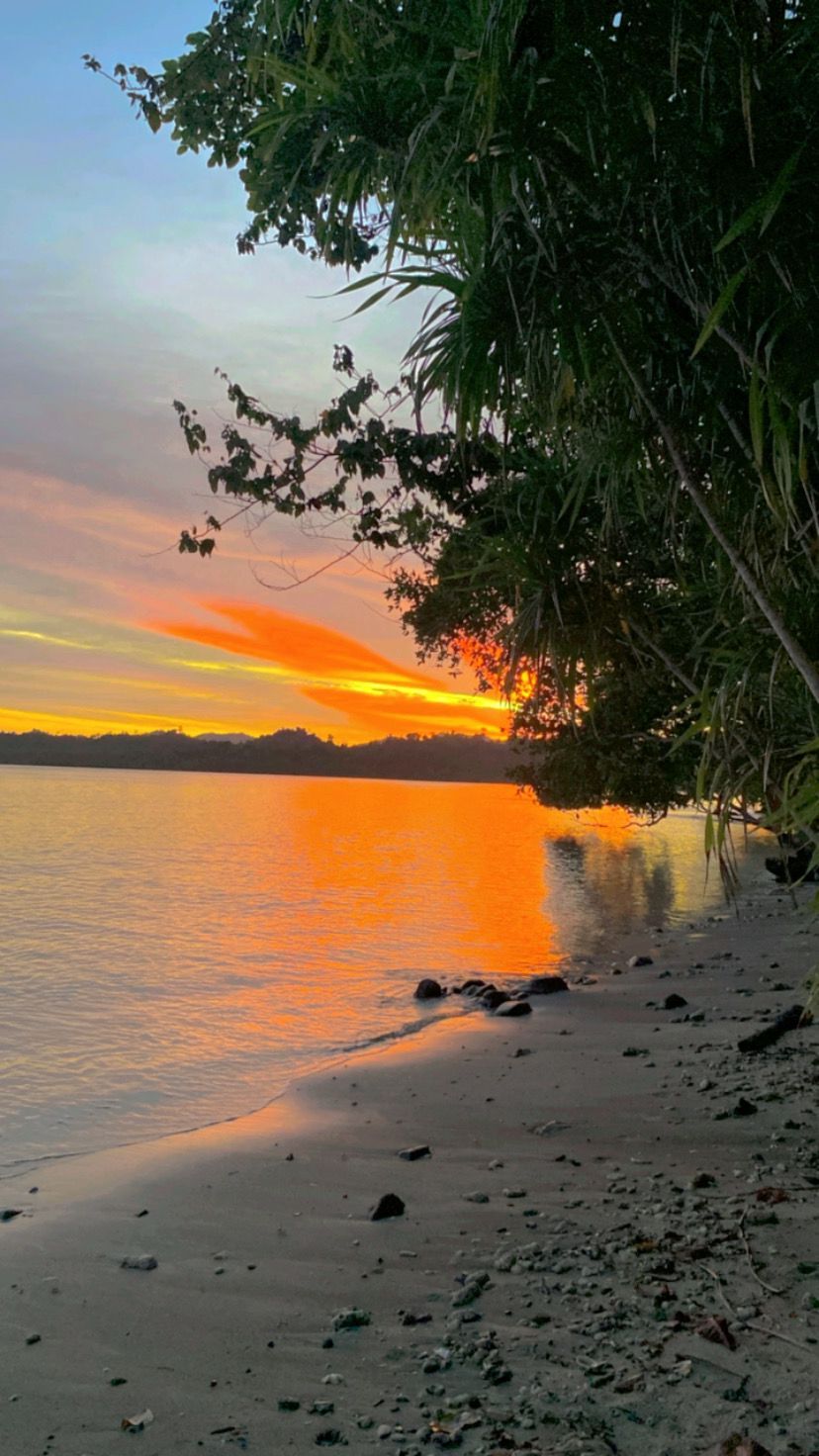 A beach with a sunset view, calm water, and some trees.