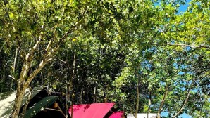 Un terrain de camping avec plusieurs tentes, dont certaines sont dotées de toiles rouges, installé près d’une étendue d’eau.