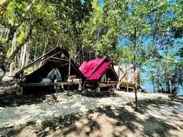 Un campamento con dos tiendas de campaña, una con techo rojo y otra con techo negro, rodeado de árboles y un cielo despejado.