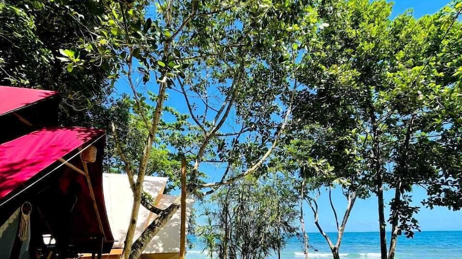 Lainkalogos Glamping