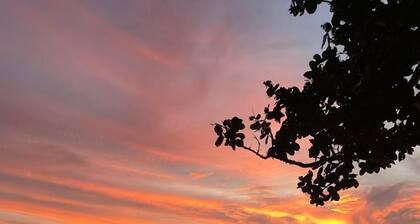 Lainkalogos Glamping