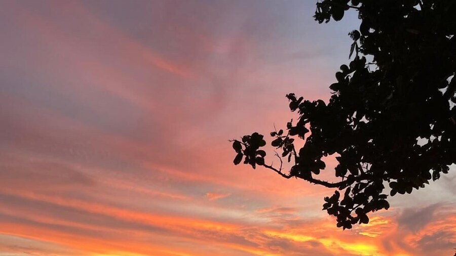 ラインカロゴス グランピング