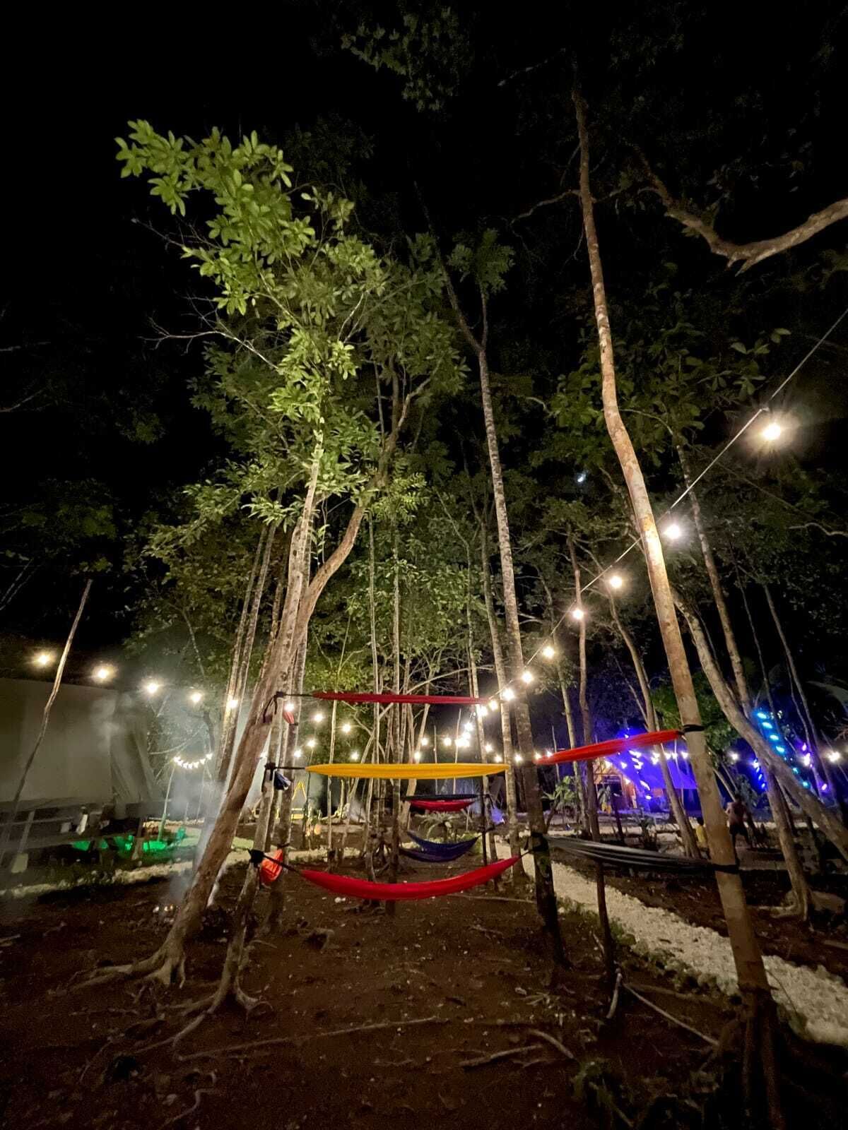 A nighttime outdoor area with trees, string lights, and hammocks.