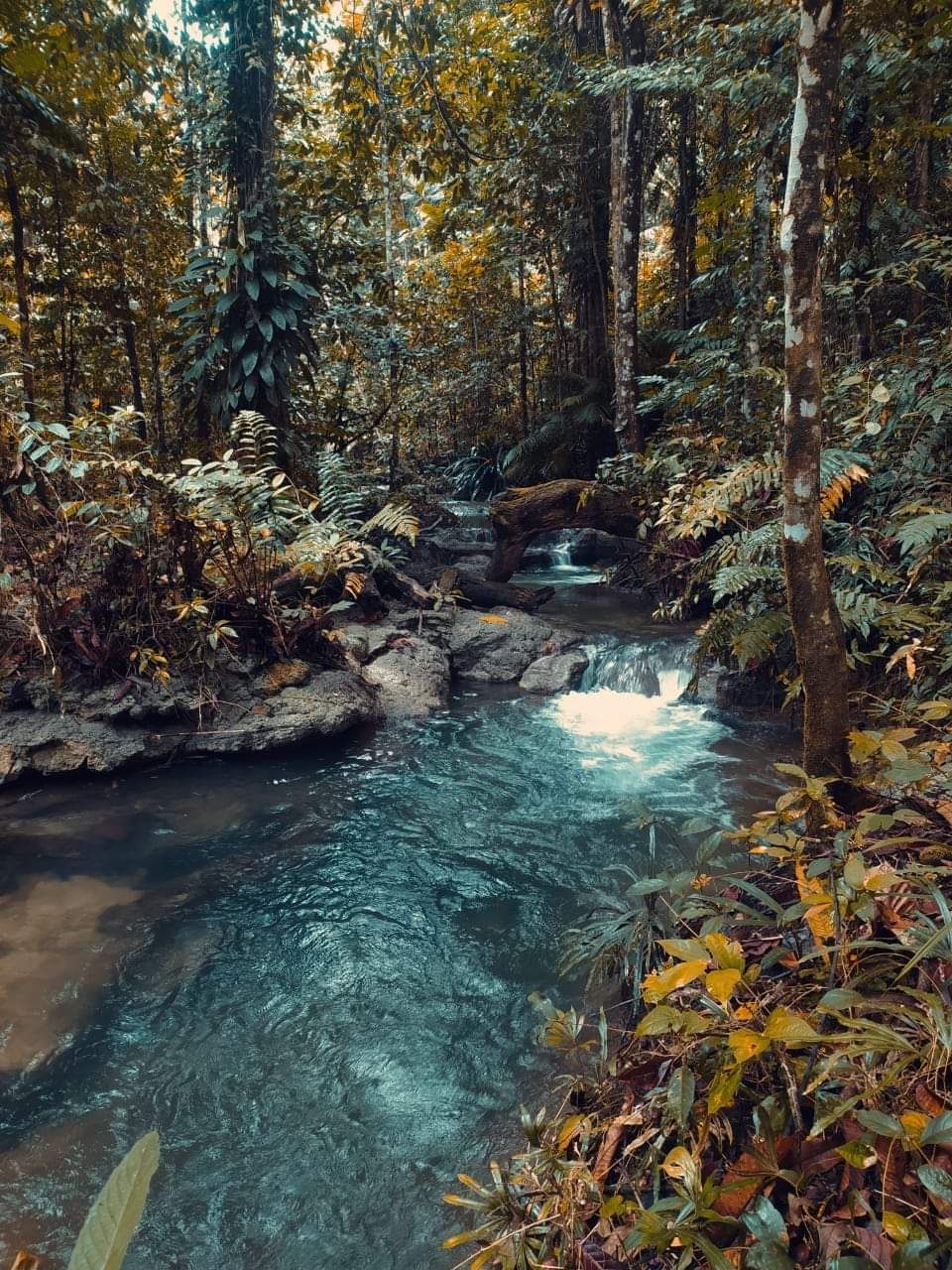 Hồ