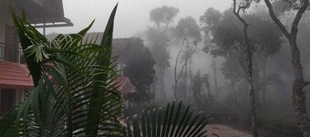 COFFEE NEST COORG offers spacious homestay accommodations with private bathrooms