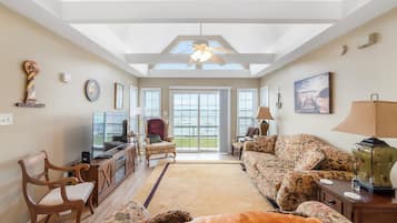 TV connectée, cheminée, lecteur de DVD, livres