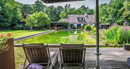 Attractive villa in the middle of the forest, pet-friendly with swimming pond