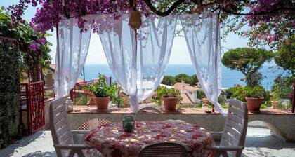 A piece of paradise with beautiful panoramic views of Dino Island
