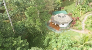 Une maison à toit de chaume, entourée d’une végétation luxuriante.