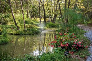 Terrain de l’hébergement 