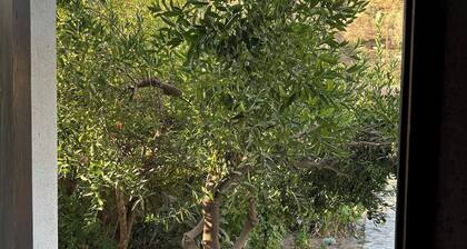 Old Castle Cottage in Paleokastro