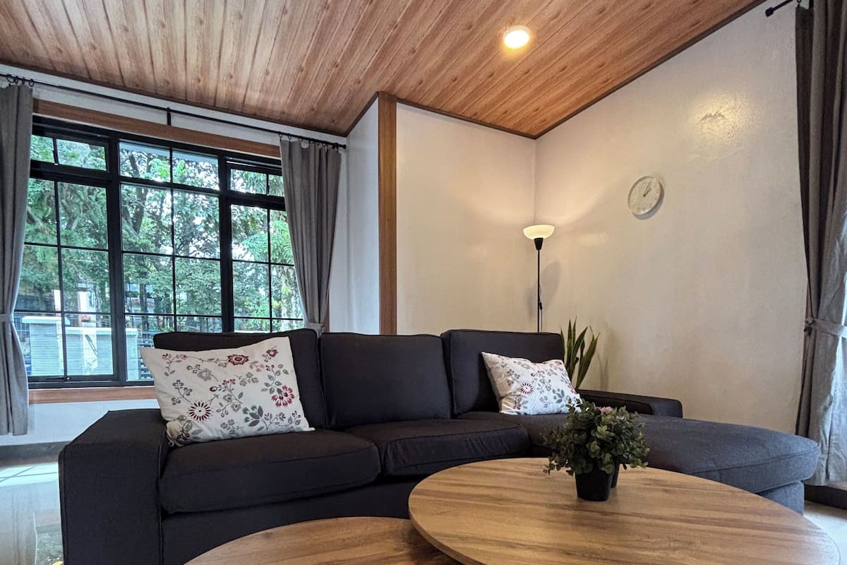A modern living room with a dark sofa, two round wooden coffee tables, a potted plant, and a large window with curtains.