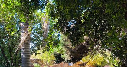 The Q’s Guest suite