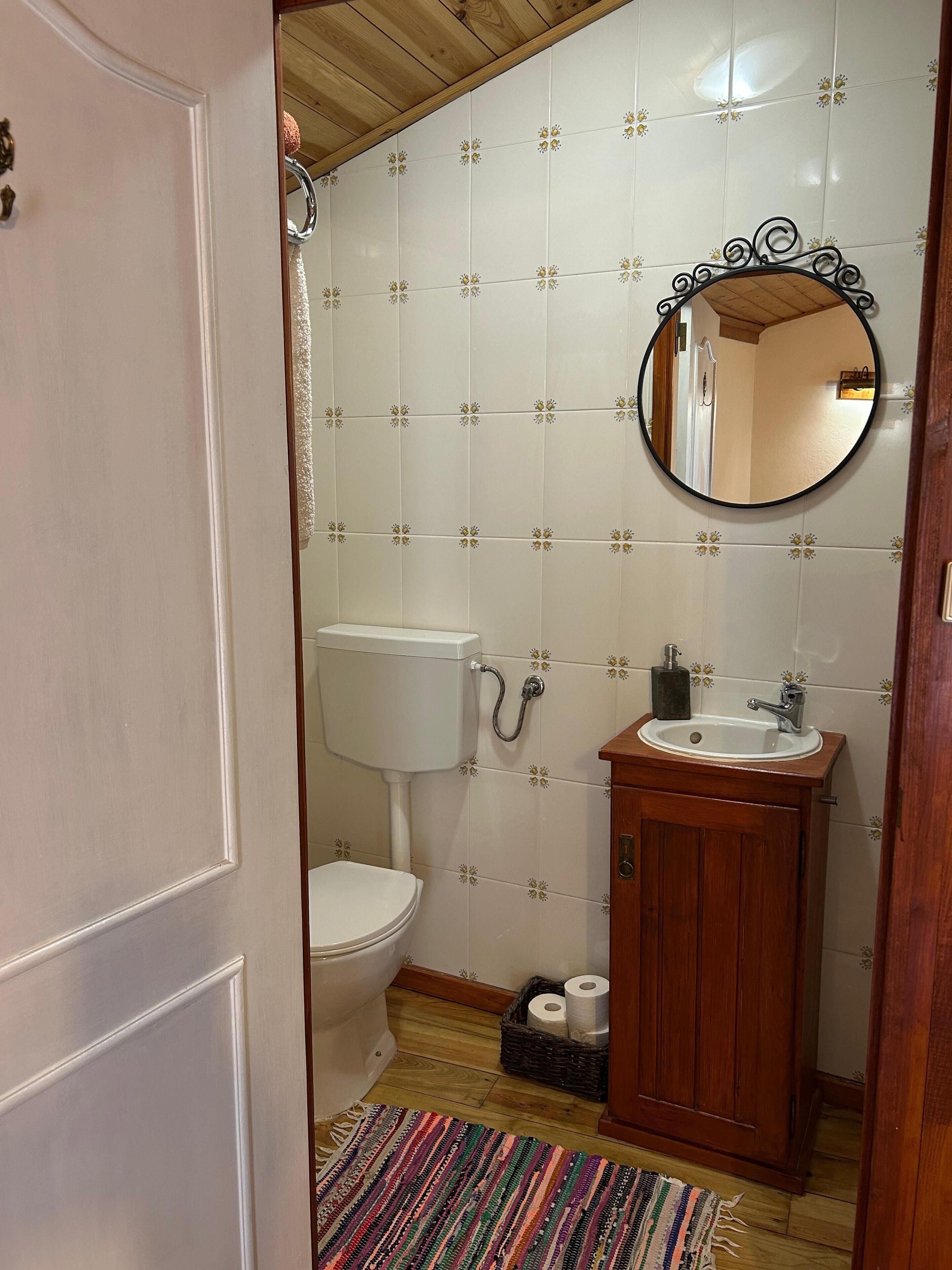 A bathroom with a toilet, sink, and mirror.