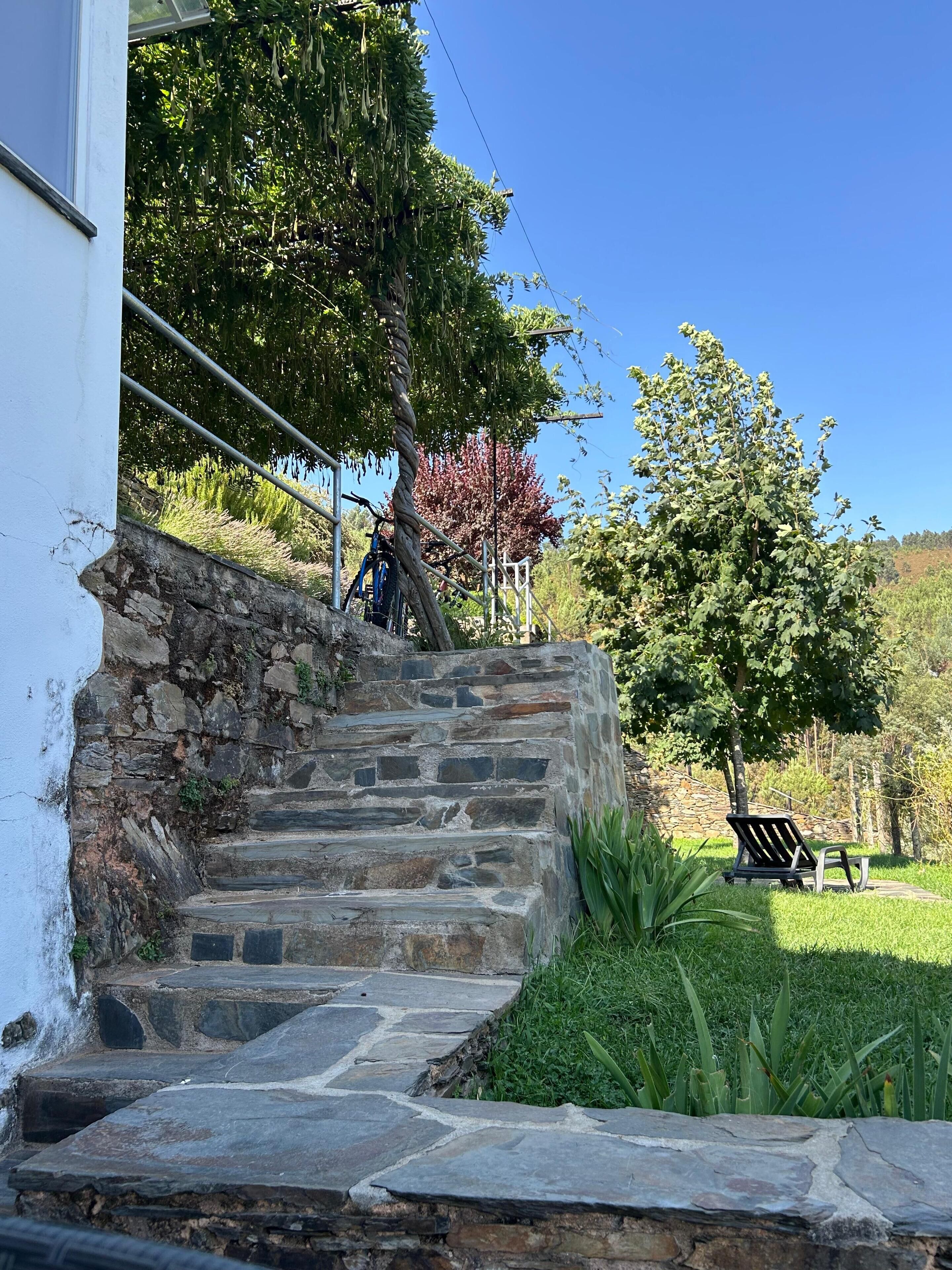 Una escalera de piedra conduce a un edificio, rodeado de vegetación y un banco.