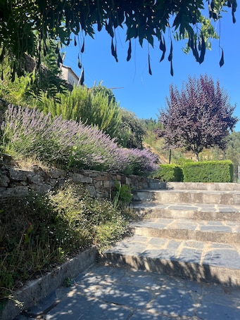 Exterior. Casas do Sinhel