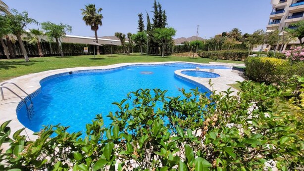 Una piscina con un diseño geométrico de azulejos, rodeada de exuberante follaje y palmeras.