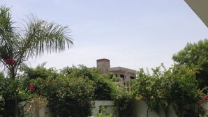 Un giardino pensile con diverse piante in vaso e una vista su un edificio sullo sfondo.