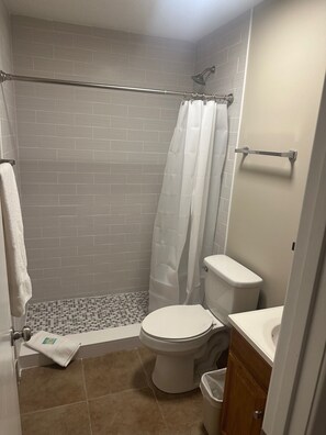 Shower, towels, soap, toilet paper