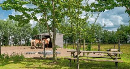 Gemütliches Mobilheim nahe Strand & charmanten Städten
