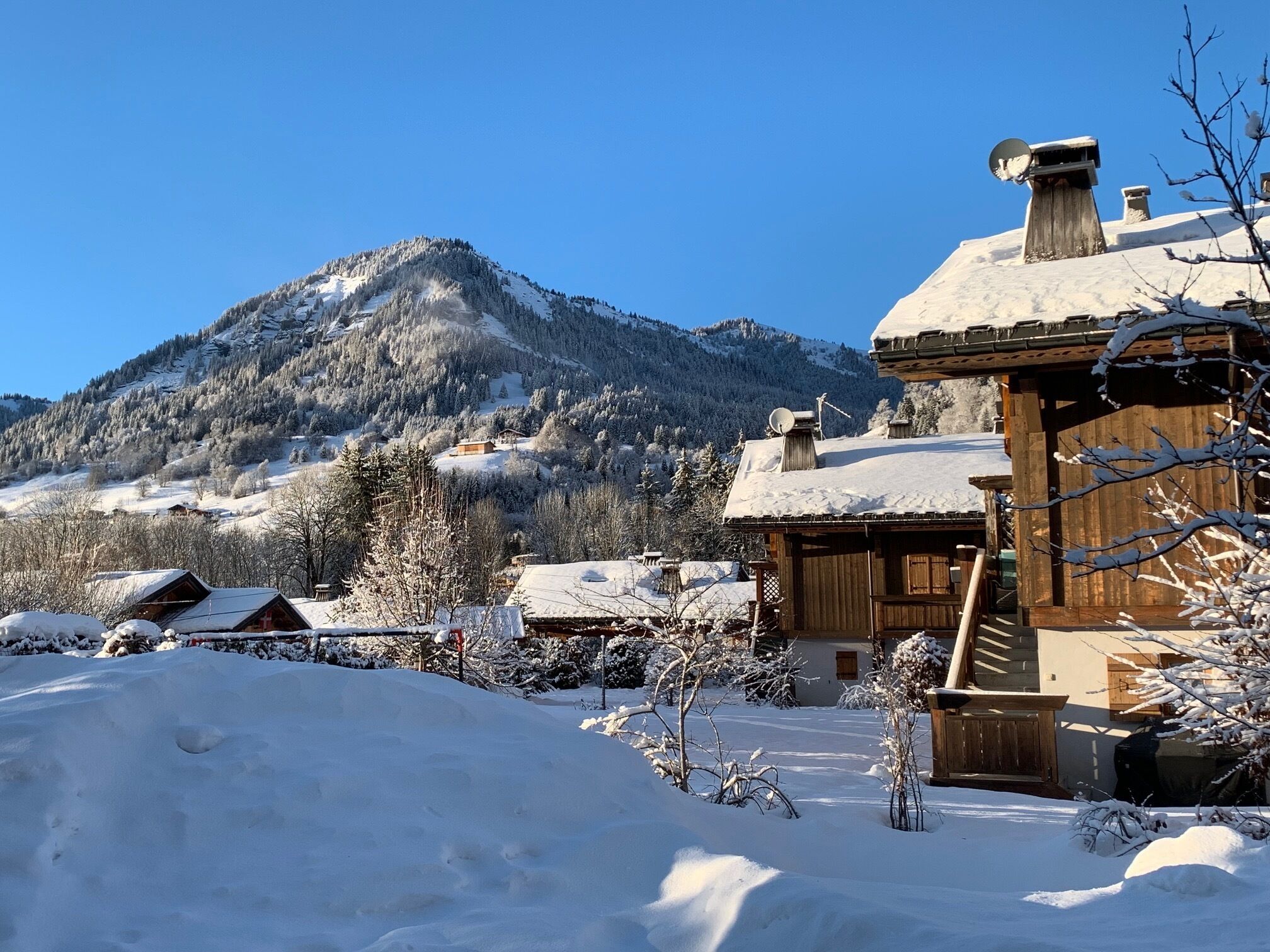A wooden cabin with a snow-covered roof, surrounded by a snowy landscape and a mountain in the background.