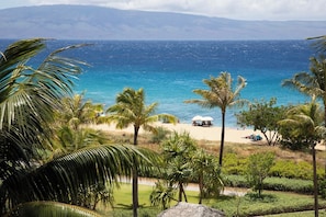Une plage bordée de palmiers, une mer d’un bleu limpide et des montagnes à l’horizon.