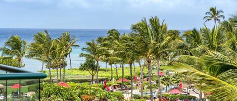 Terrain de lâhĂ©bergement