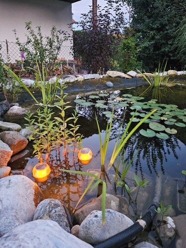Charmantes Landhaus mit Garten - Nähe Alpen und Seen