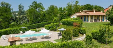 A pool area with lounge chairs and umbrellas, surrounded by well-maintained hedges and a building with a tiled roof.