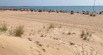 Almarea open space in Sulemmari