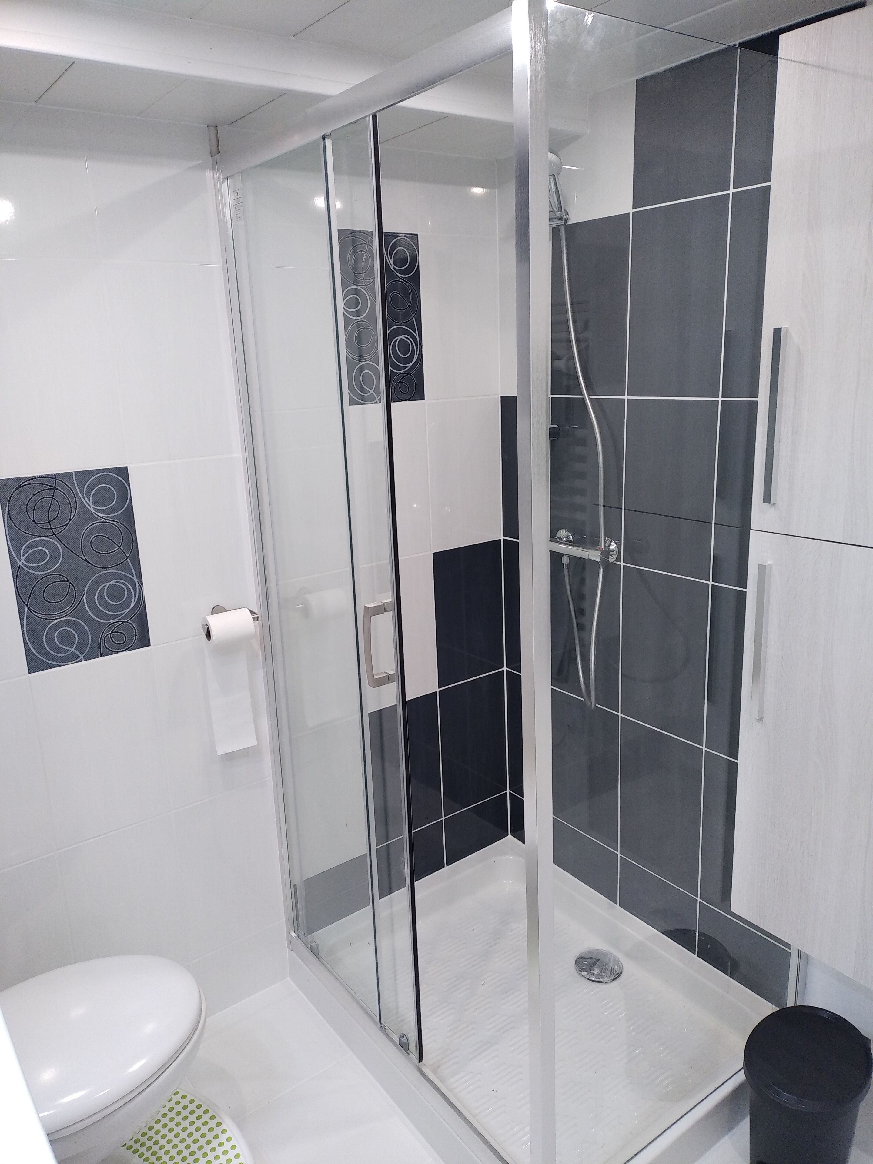 Regadera, secadora de cabello, toallas, jabón 