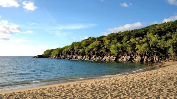 Ein sandiger Strand mit klarem, blauem Wasser und einer felsigen Klippe, bewachsen mit Grün.
