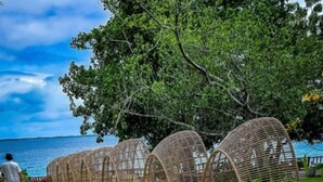 Ένα καμπυλωτό μονοπάτι με καθιστικά από μπαμπού, περιτριγυρισμένο από πράσινο και με θέα στη θάλασσα.