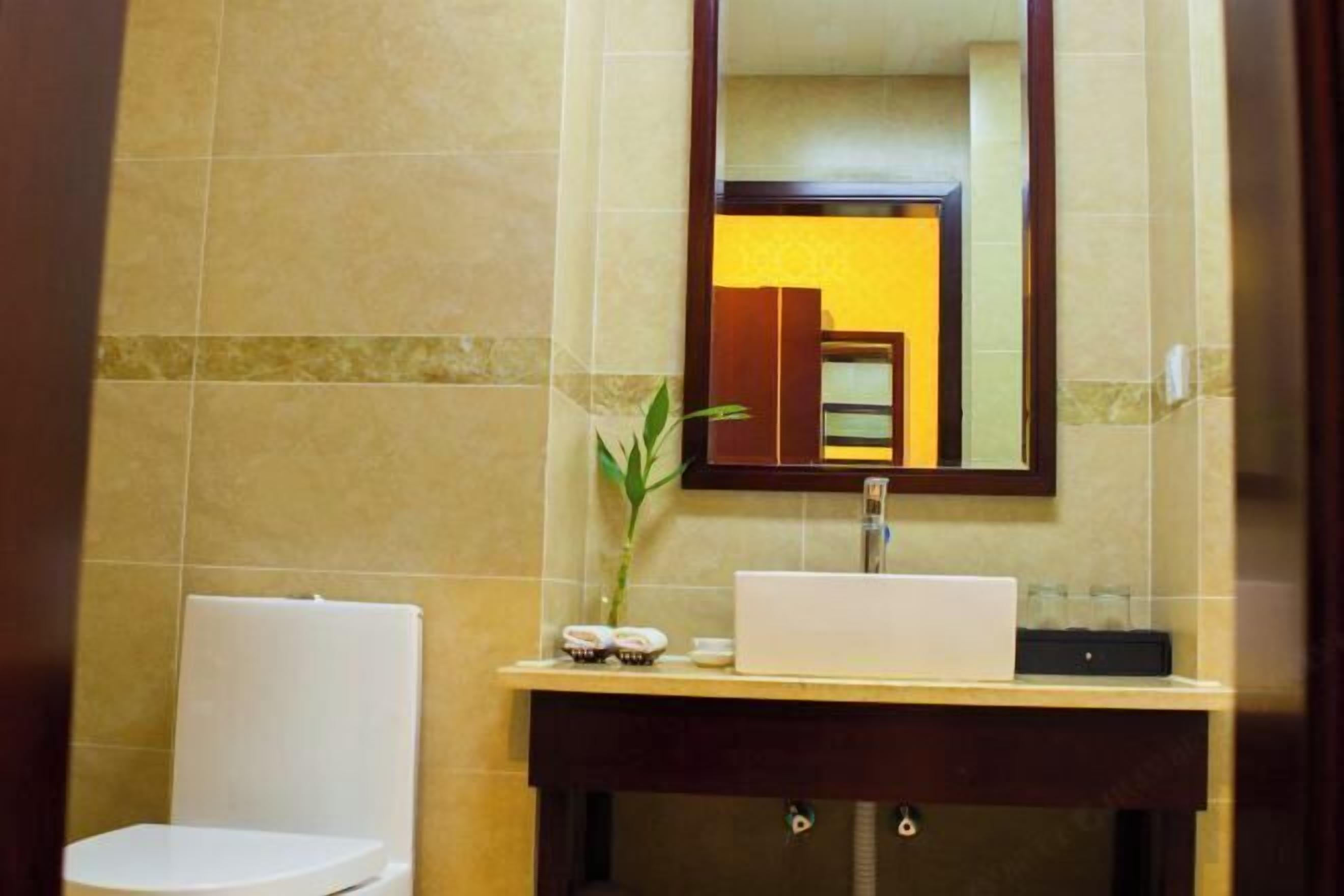 Une salle de bain avec des toilettes blanches, un lavabo surmonté d’un miroir et une plante posée sur le comptoir.