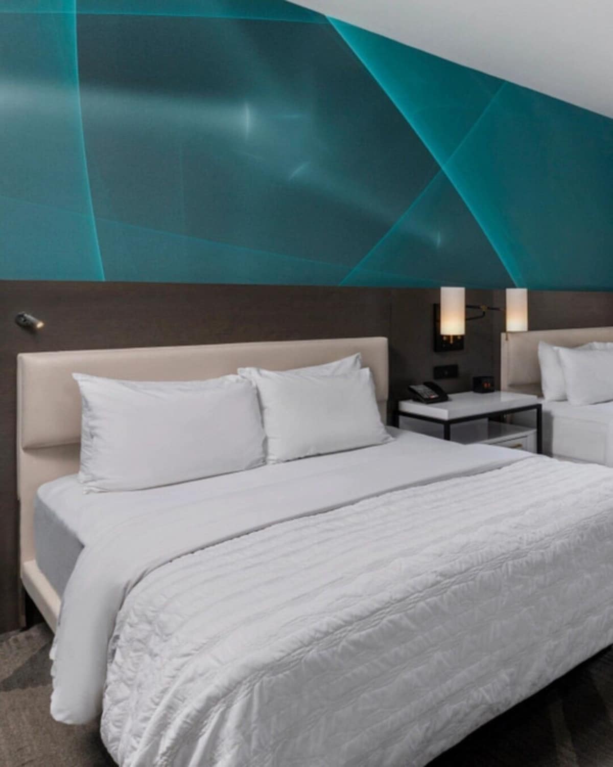 Photo 8 of Perfect for Groups! 2 Pet-friendly Units, Rooftop Terrace, Bike Rental