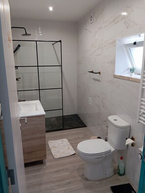 Shower, hair dryer, towels