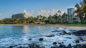 A beachfront hotel with multiple buildings, palm trees, and a rocky shoreline. - Beautiful Ocean View Studio at Marriott Kauai Beach Club (Knoxville)