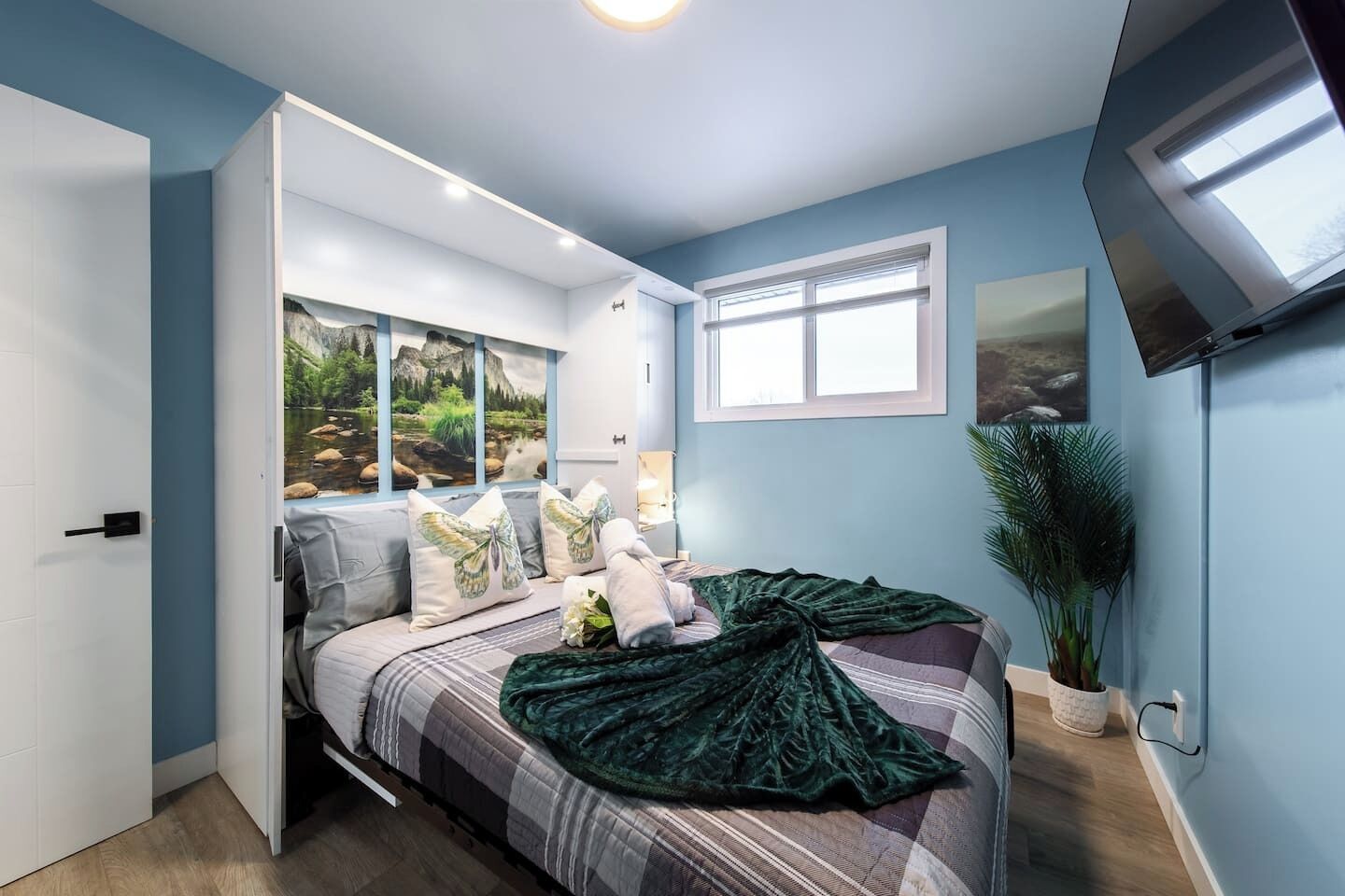 A bedroom with a bed, a window, a TV, and a plant.