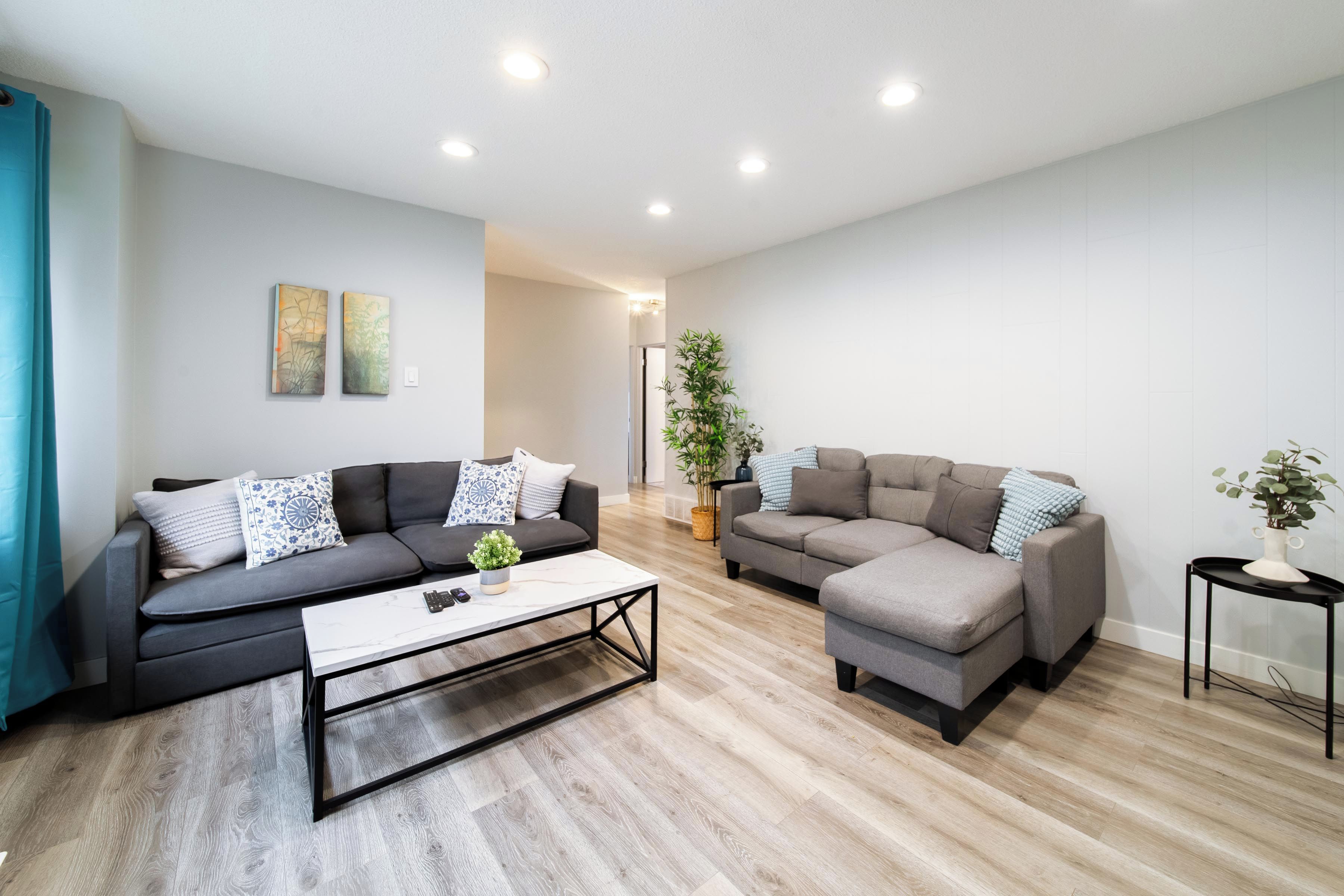Un salon moderne avec deux canapés, une table basse et une plante en pot.