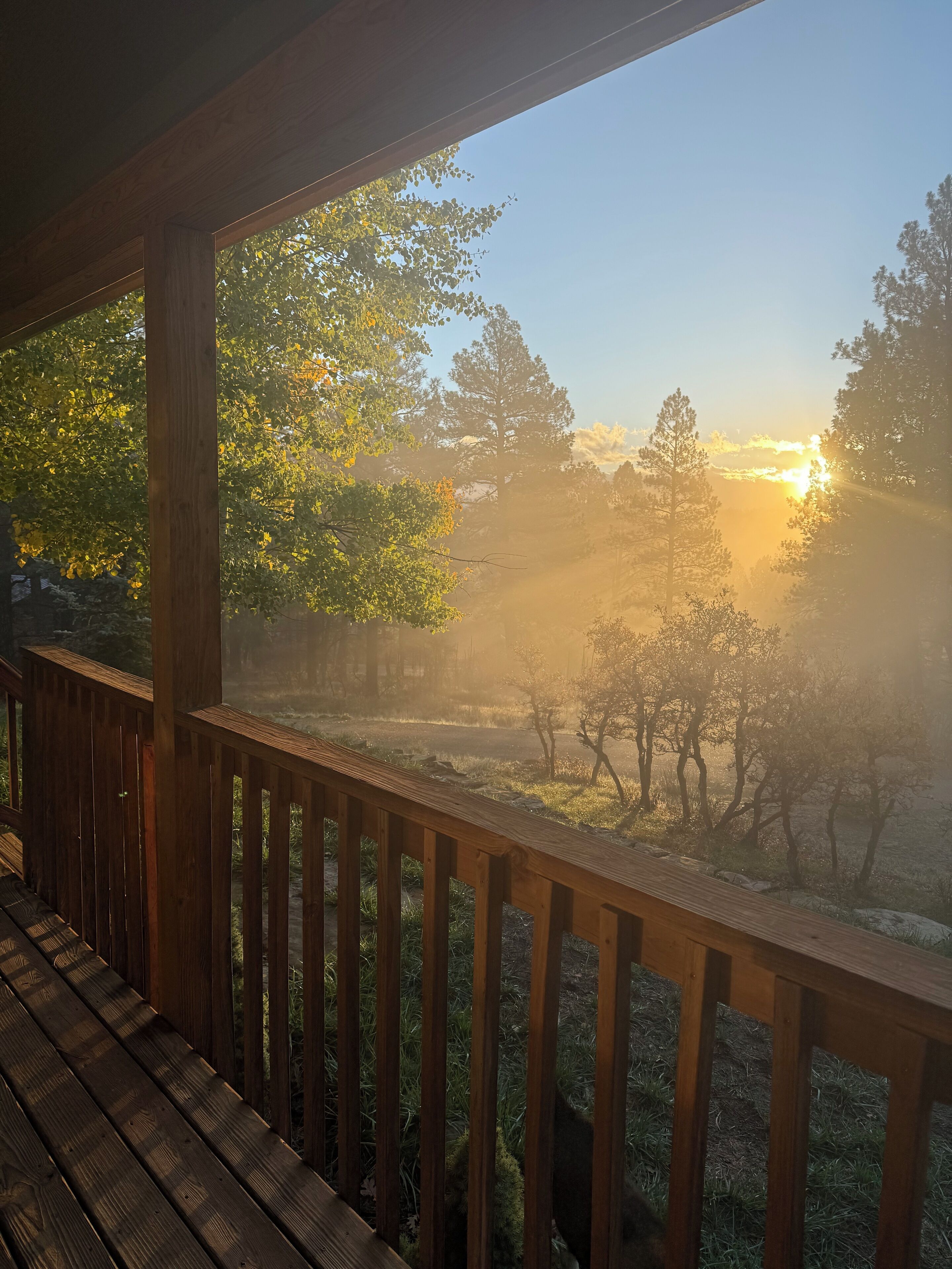 A quiet, foggy morning from the porch. 