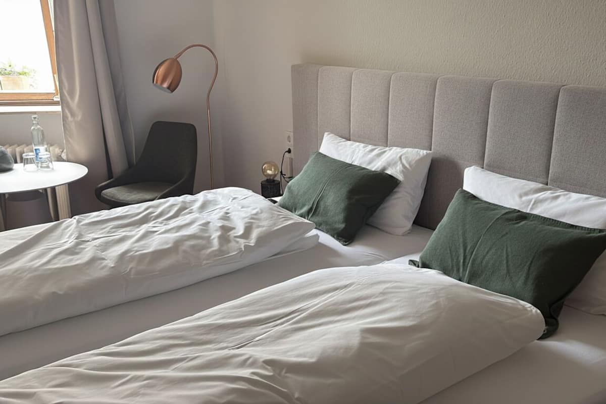 Deluxe Double or Twin Room, Non Smoking, City View | Free WiFi