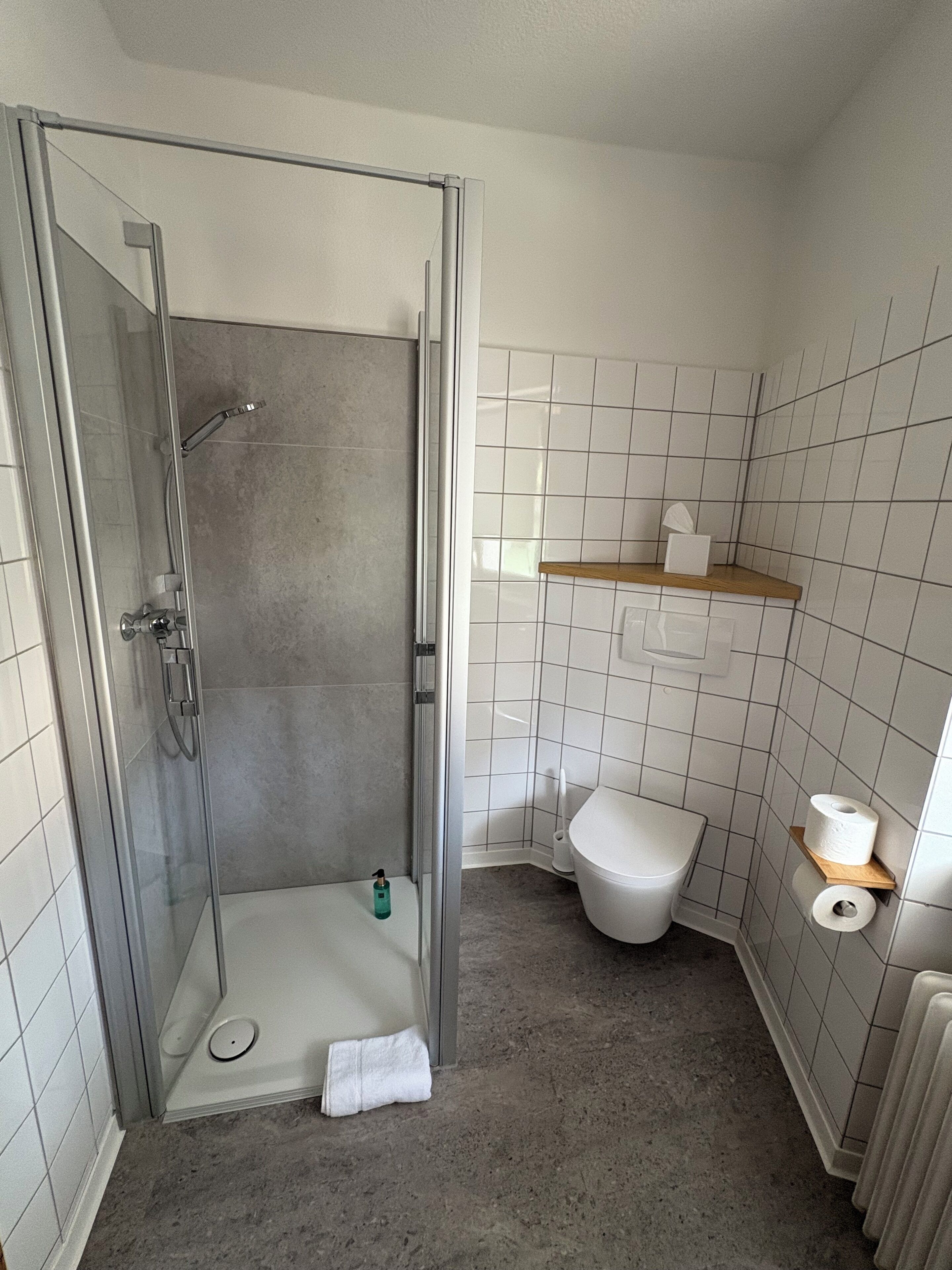 Een badkamer met een douche met glazen wand, een toilet en een plank met toiletartikelen.
