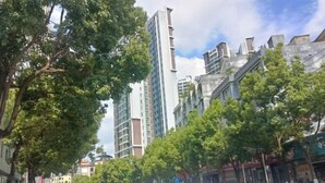A street with modern buildings, trees, and a white car.