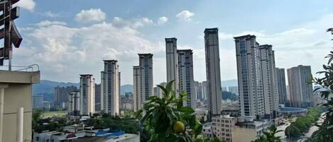 Vista desde la propiedad