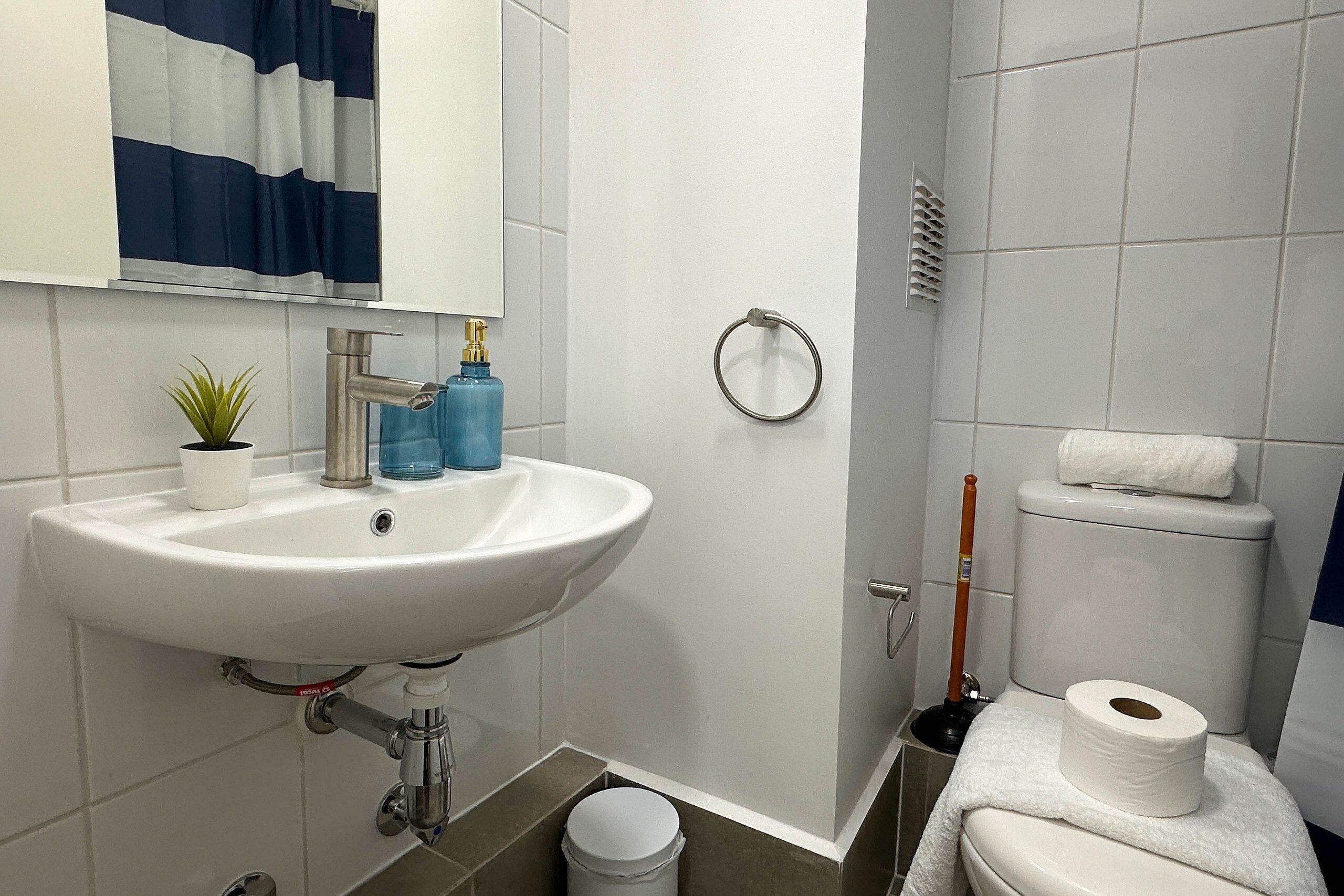 Ein Badezimmer mit einem weißen Waschbecken, einer kleinen Topfpflanze, einer blauen Flasche, einer Toilette mit einem Toilettenpapierrollen und einem Handtuch auf der Toilette.