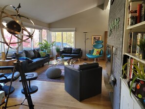 TV connectée, cheminée, lecteur de DVD, livres